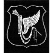  Нарукавный знак по принадлежности к конкретному воинскому формированию военнослужащие ВВС и ВДВ 